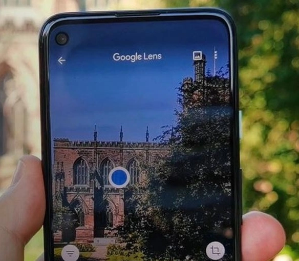 Google Lens uygulamasının akıllı telefon ekranında çiçek tanıma özelliği gösterimi.