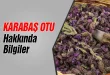 Karabaş